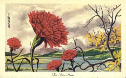 Eyalet Çiçeği, Ohio Kartpostalı