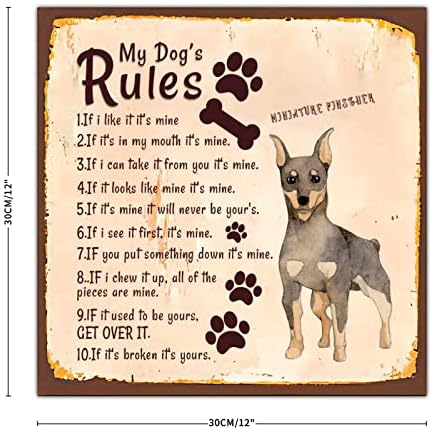 Alioyoit köpeğimin Kuralları Komik Köpek Metal Tabela Plak Köpek hoş geldin yazısı Antika Metal Poster Retro Pet Köpek Duvar