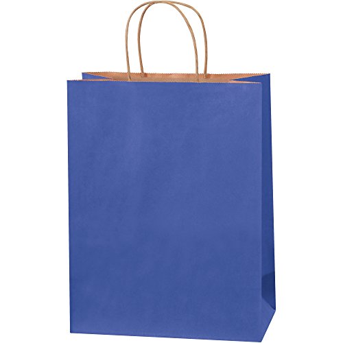 Renkli Alışveriş Çantaları, 10 x 5 x 13, Geçit Mavisi, 250 / Kasa