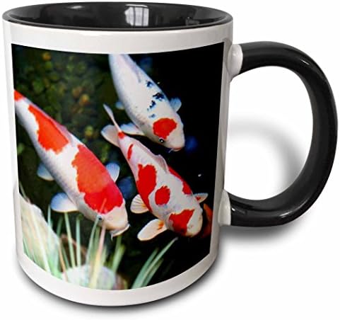 3dRose mug_62378_4 Japon turuncu n Beyaz Koi Balığı İki Tonlu Siyah Kupa, 11 oz, Çok renkli