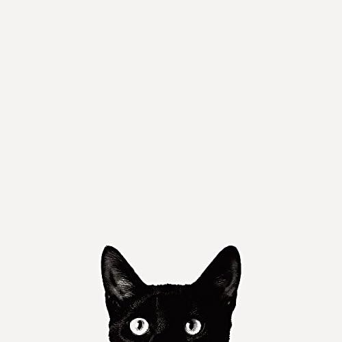 Merak Jon Bertelli Siyah Kedi Güzel Sanatlar Baskı Posteri, Genel Boyut: 18x20, Görüntü Boyutu: 15x15
