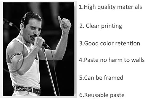 Freddie Mercury Poster Boyutu 18 İnç X 24 İnç, Freddie Mercury Posterler Duvar Posteri Baskı