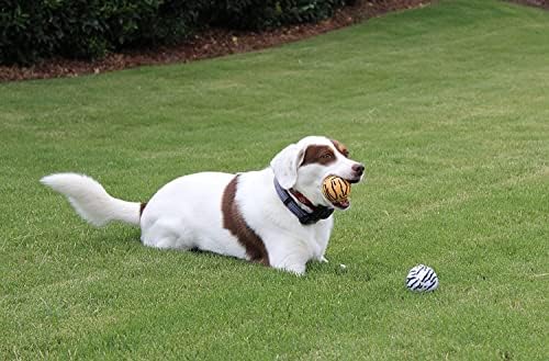 Benzersiz Spor Köpek Fetch Squeaker Topları Hayvan Baskılar 18 Paket