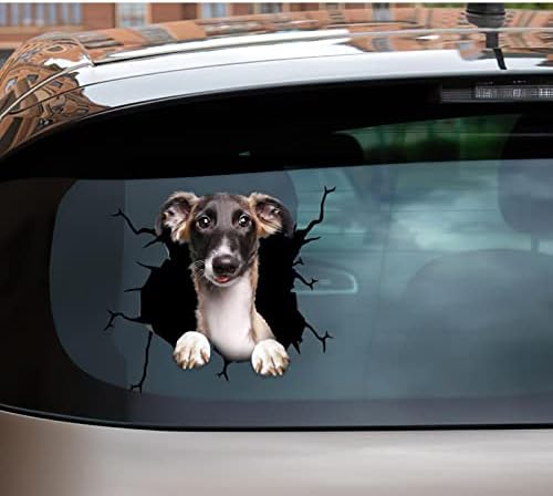 Whippet Araba Çıkartması Whippet Araba Sticker Meme Vinil Arabalar Çıkartması Gençler için Pencere Çıkartmalar