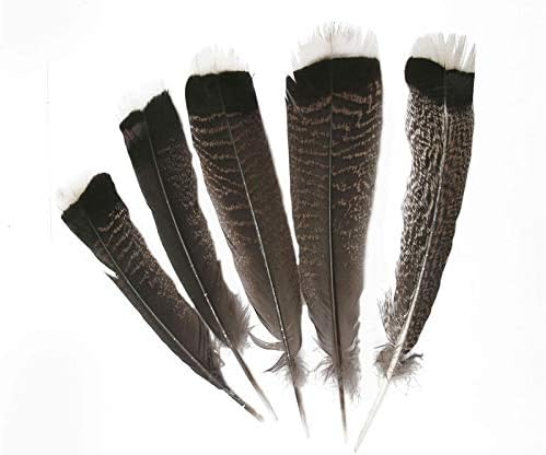 Pukıdo 50 Pcs Doğal Kartal Kuş Tüyleri 25-30 cm/10-12 inç Seçilen Başbakan Kalite Kartal Tüyleri DIY Takı Dekorasyon